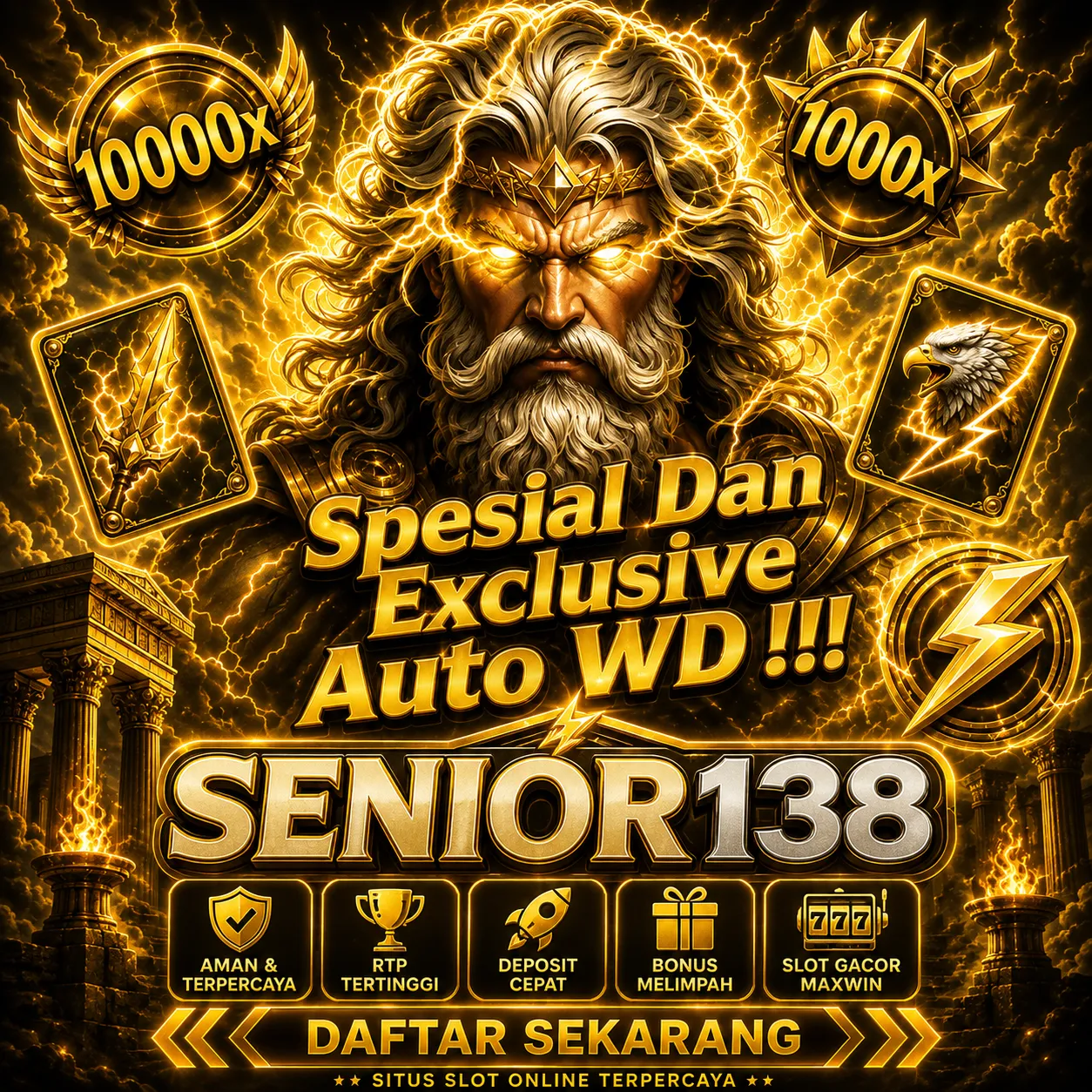 SENIOR138 Banner